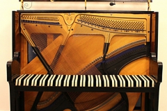 pianot0022