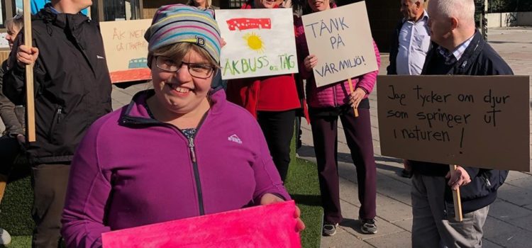 Manifestation för klimatet